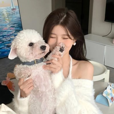 姆明山谷 第二季 高清封面